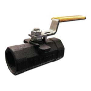 Reduced Port 2000 Wog Threaded Ball Valve Series 310