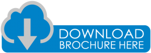 Web Icons Download Brochure Here
