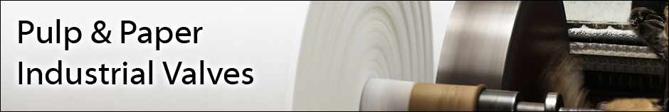 Pulp & Paper Industry Valves Top Header