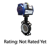 Industrial Split Body Butterfly Valve Series 1100