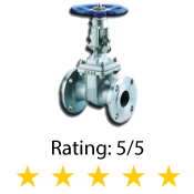 Flanged Gate Valve 300