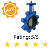 Cast-Iron Butterfly Valve Series 1000