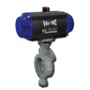 Double Offset Butterfly Valve Series 2000
