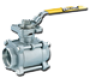 Stainless Steel Ball Valve Section