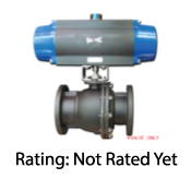 Full Port Cast-Iron Ball Valve Series 165