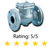 FLANGED-CHECK-VALVE-(300#) Flanged Check Valve 300