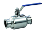 Sanitary Ball Valve Section